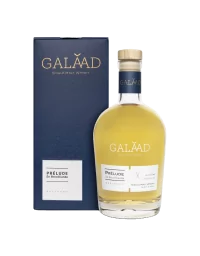 GALAAD Prélude en Brocéliande 43%