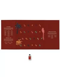 CALENDRIER DE L'AVENT Le Monde des Rhums Coffret 25 x 2cl 2025