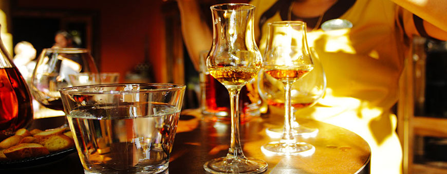 degustation rhum