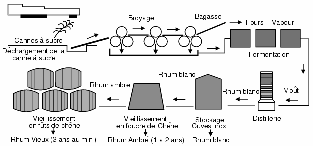 elabortion rhum