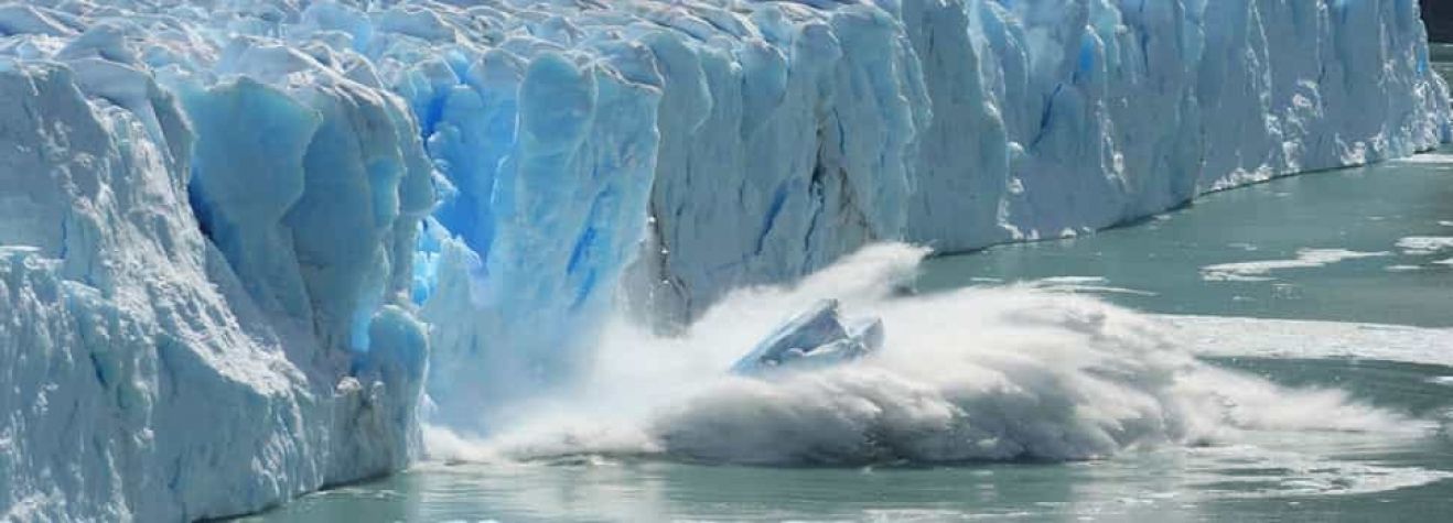 Quel est l’impact du changement climatique sur le Whisky ?